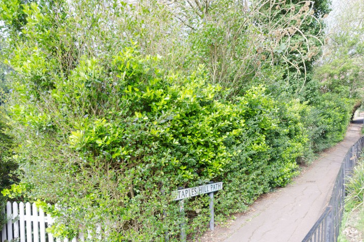 Land rear of Staples Road, Loughton, IG10