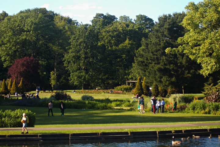 beddington park