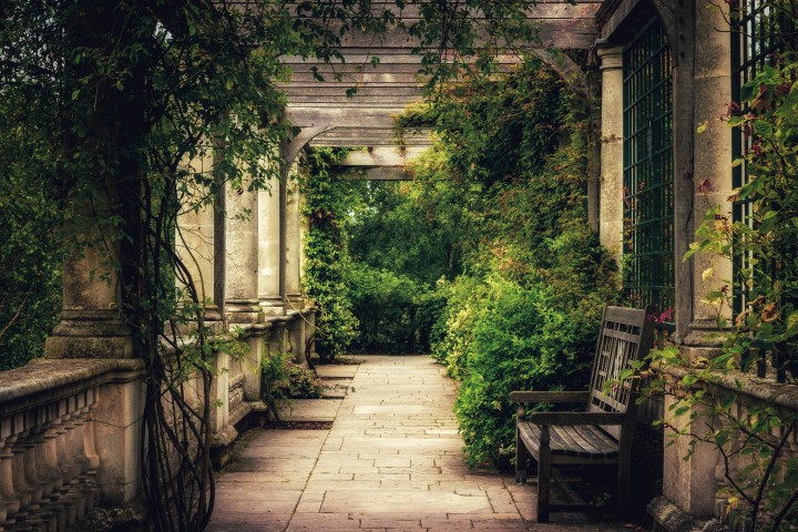 Hampstead Pergola